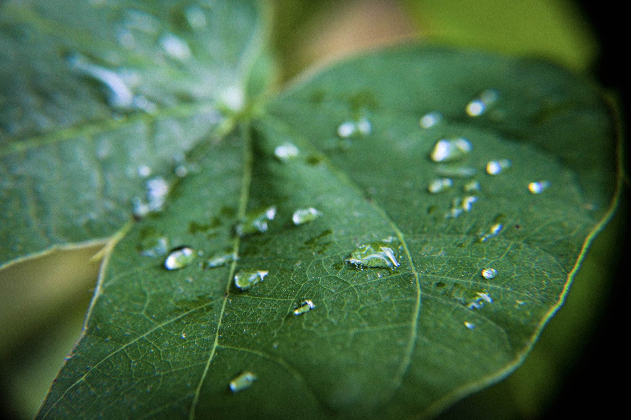 photo-02d284e5-ed82-4836-bfbf-6dcb38c4ef3e