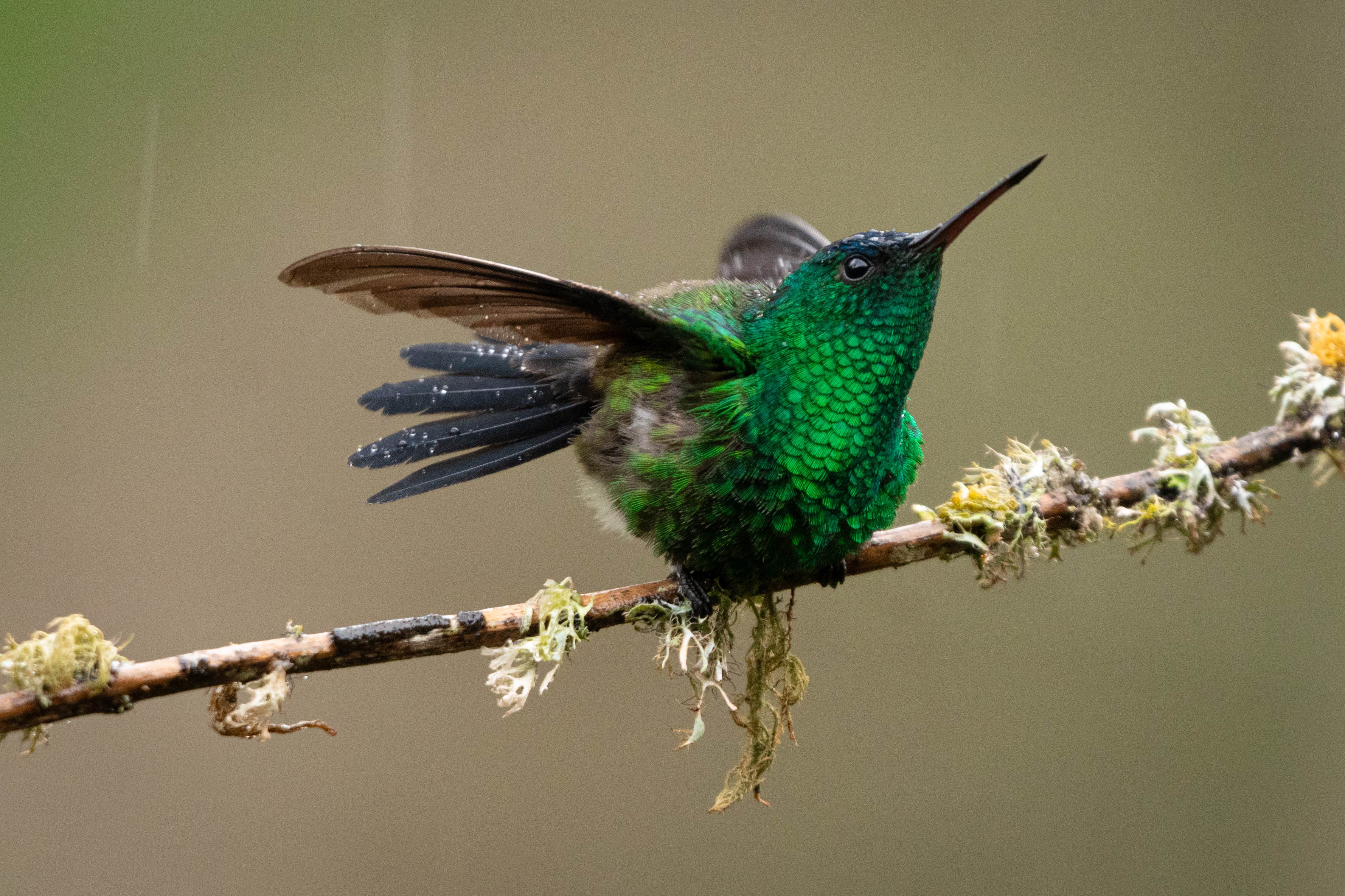 photo-9b8d9abe-7118-42a1-bc09-d114d25df981