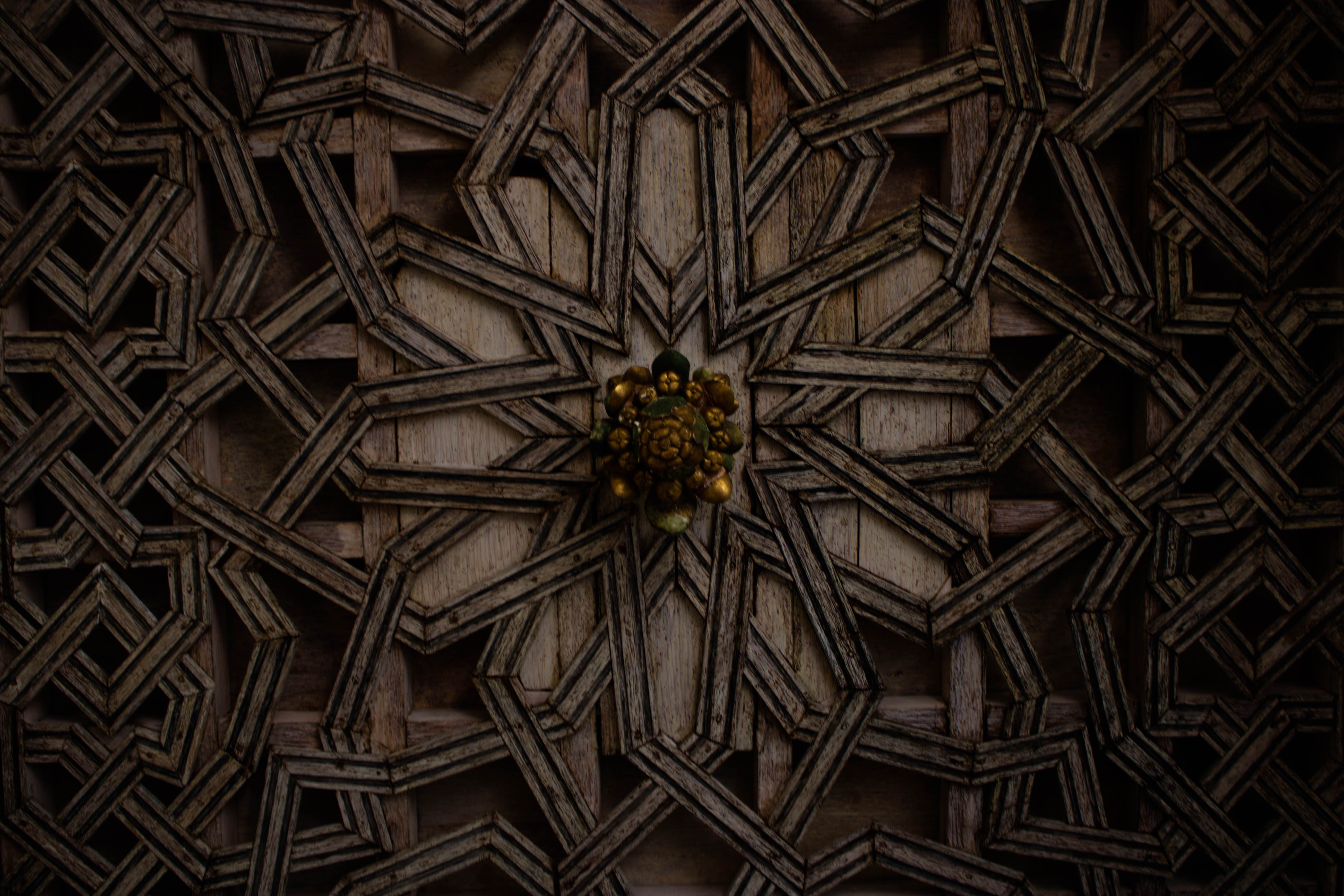 photo-9b90d0a9-36ec-4c56-a4e3-13321500cf4b