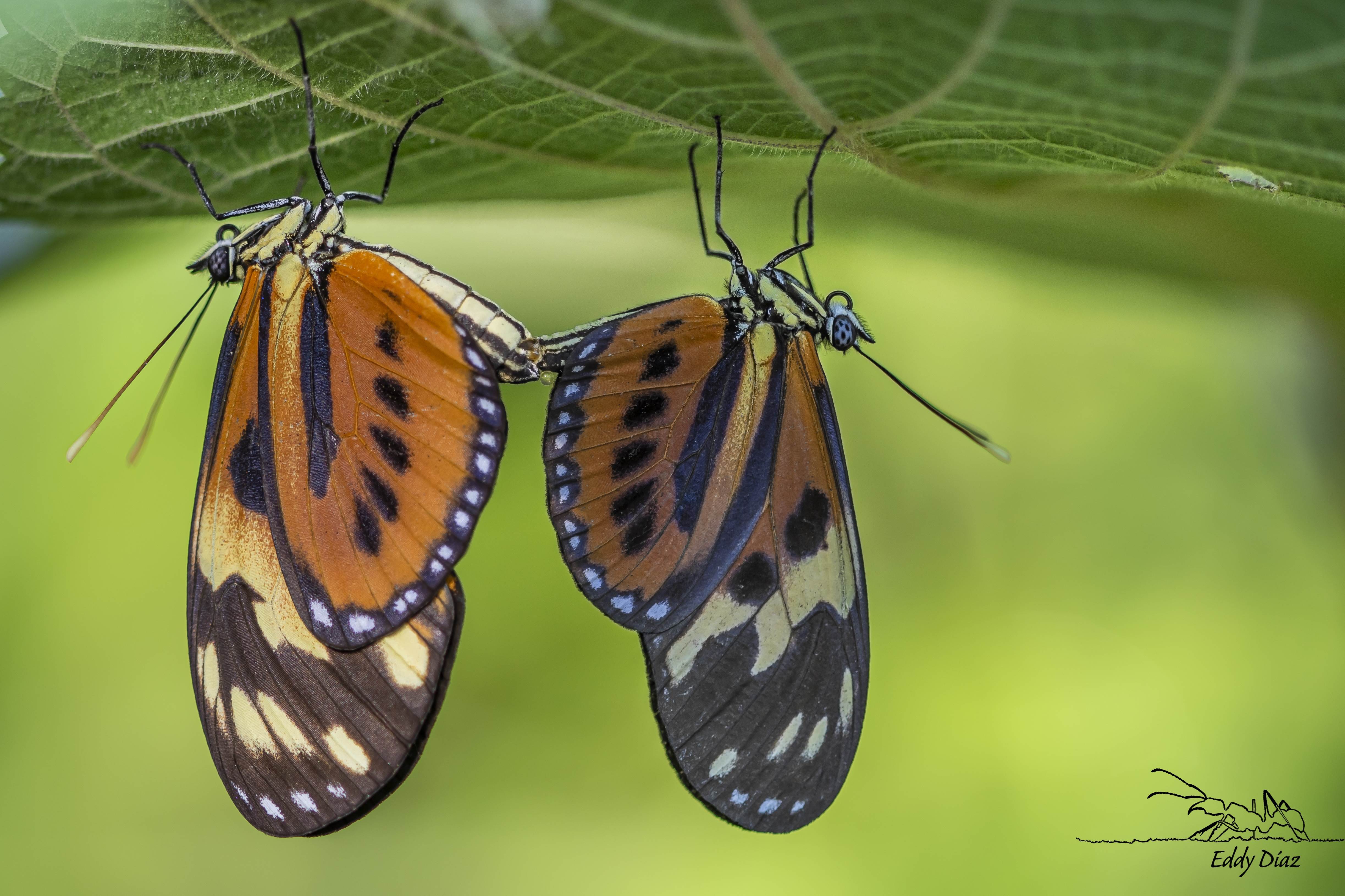 photo-d32b7f5c-8ce7-47bf-ba3d-b1ad4ee77283