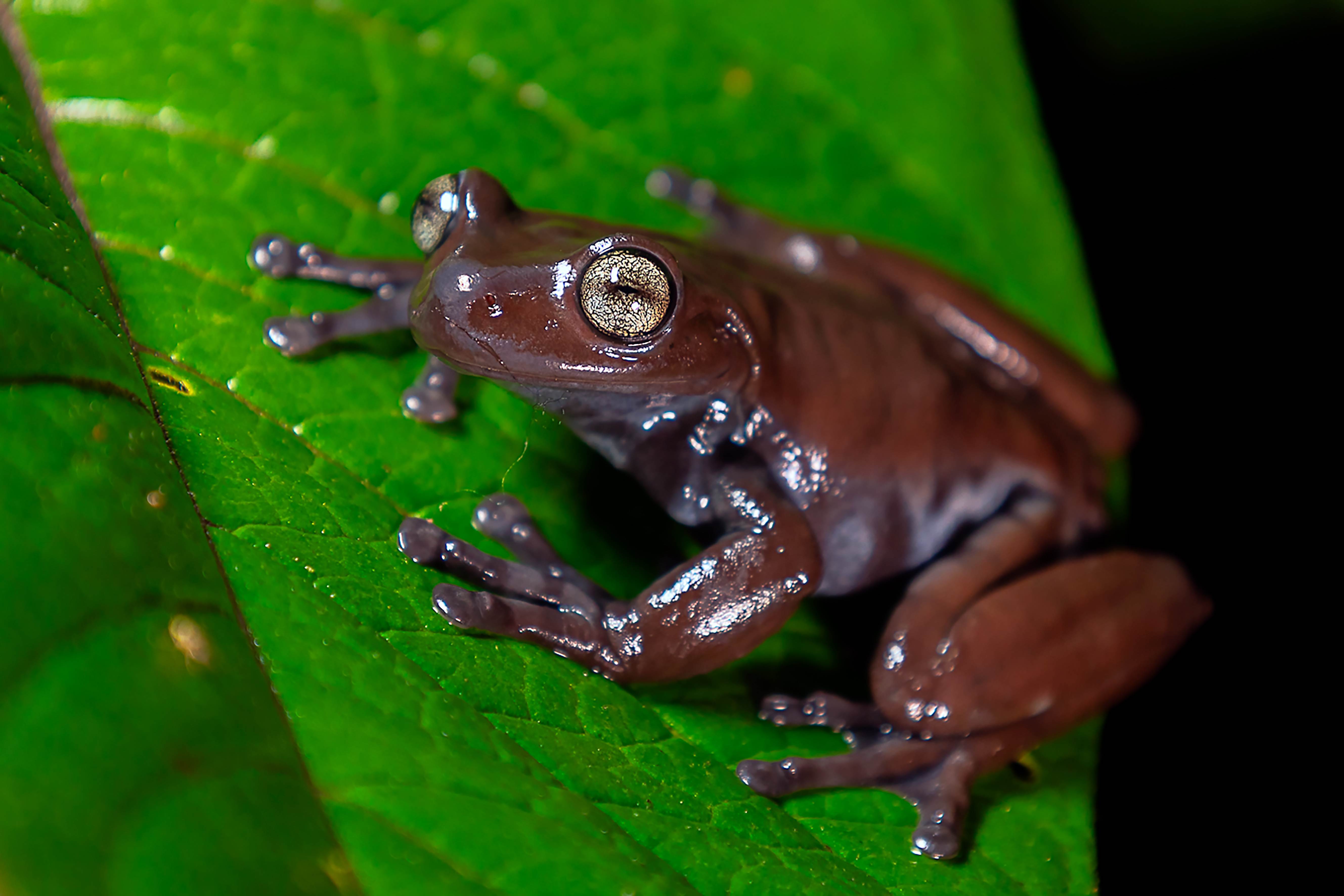 pic-0cff6c7d-ab52-4406-a8aa-ccb3fa204668