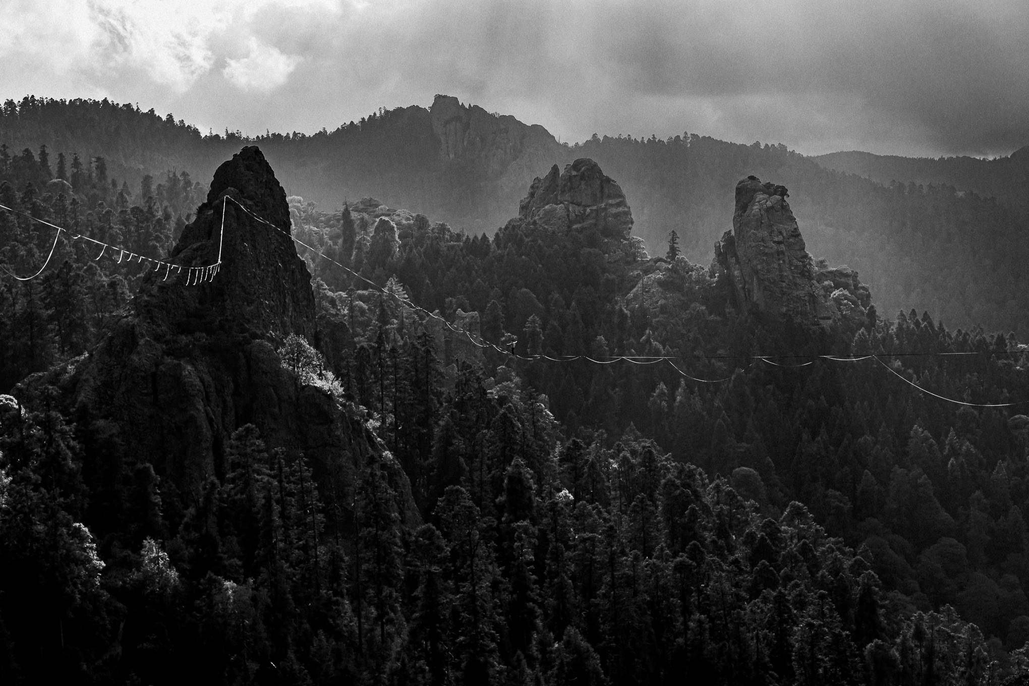 pic-10ef0ec8-5896-479d-8b98-f976c8c7130d