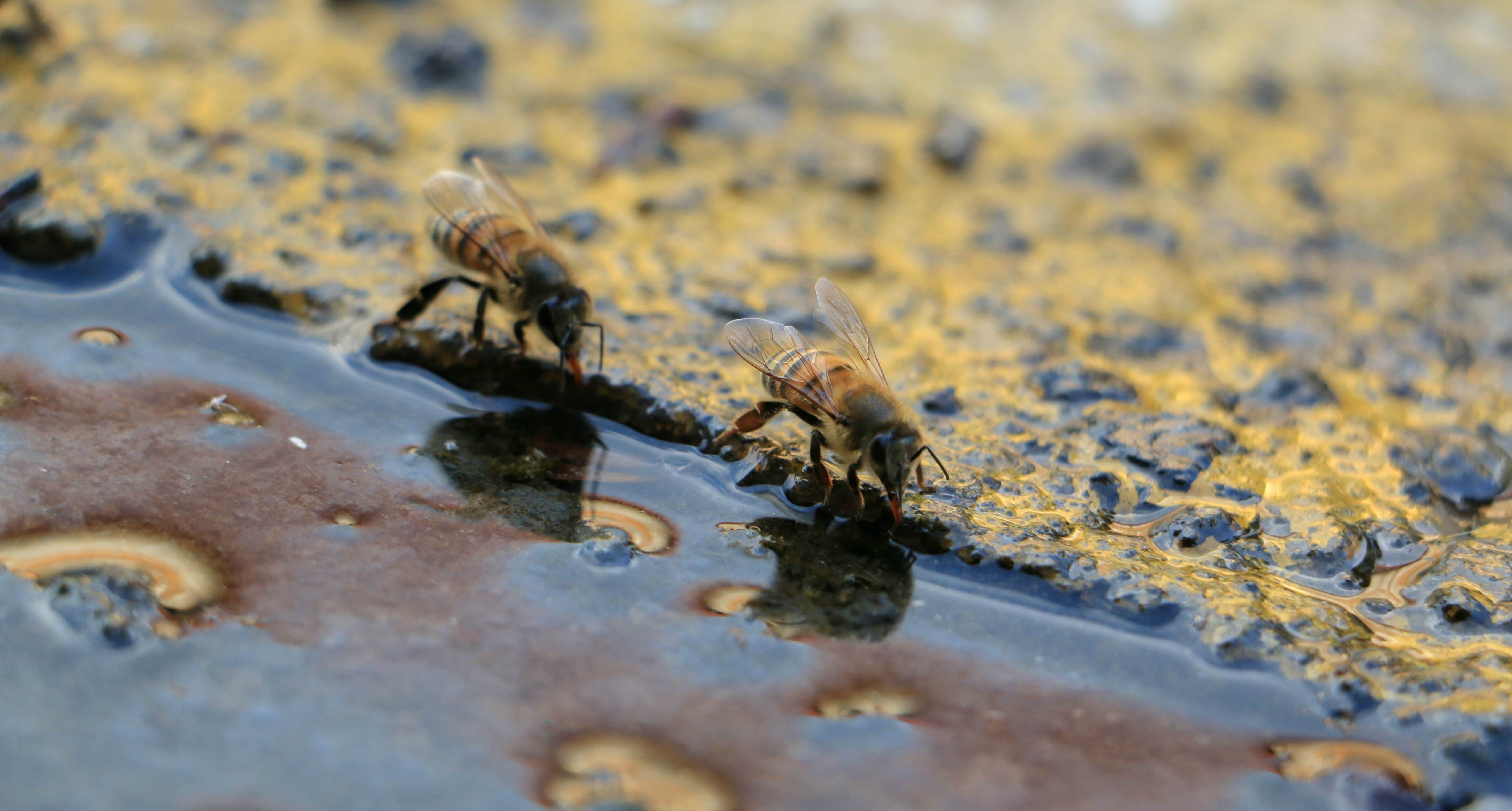 pic-50250d0d-71bc-438b-8d7b-200a78b1a904