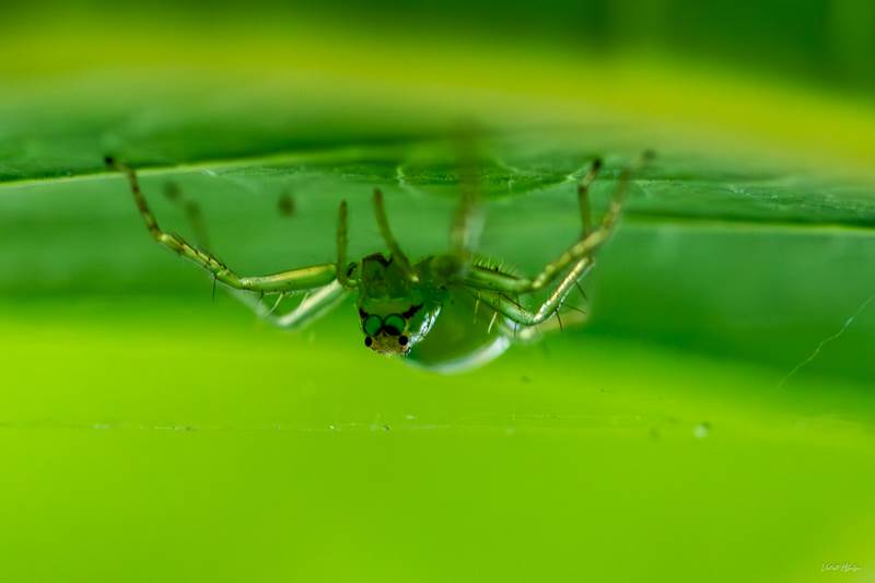 pic-cac233c8-7239-4547-a50d-c70ffa6d01c4