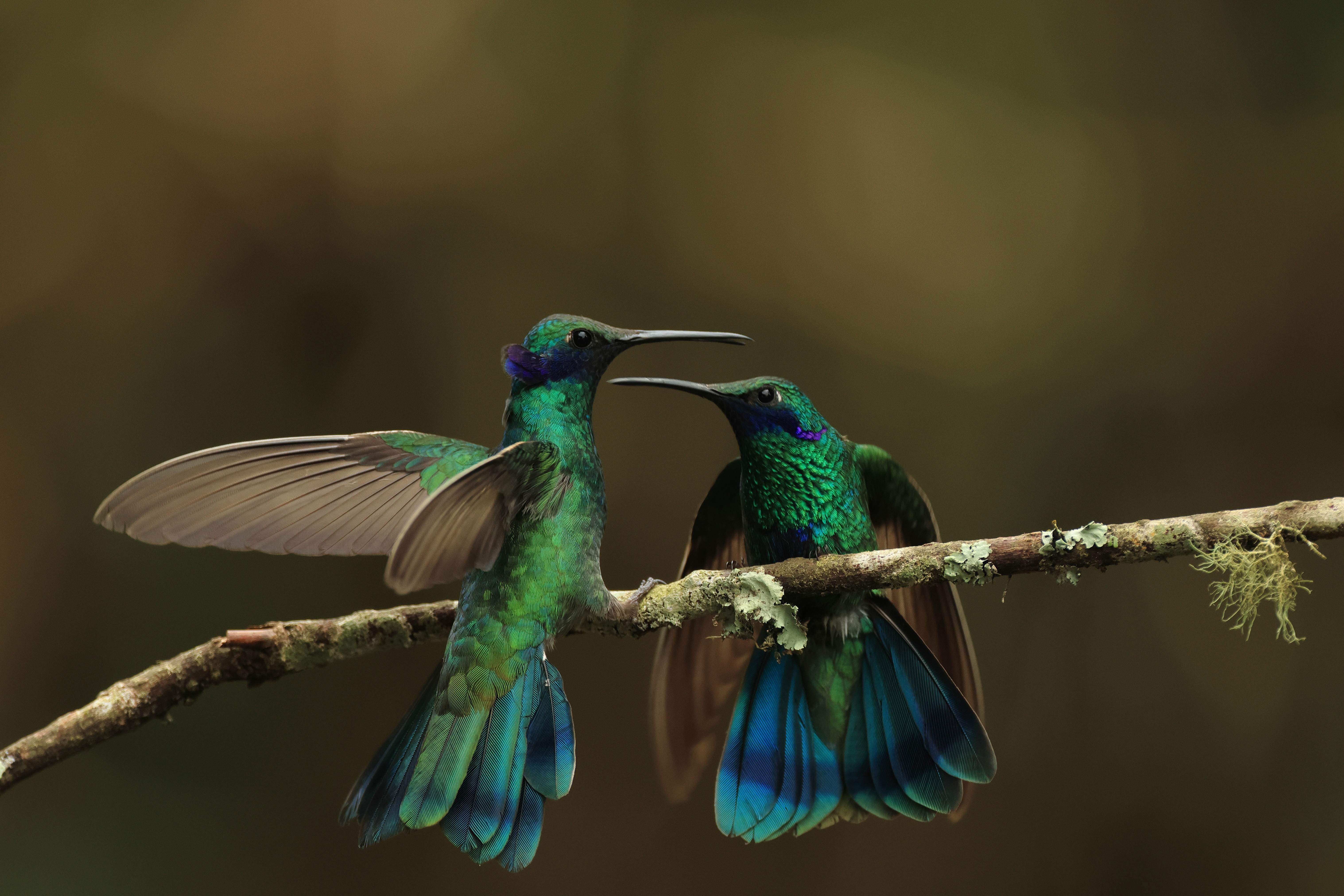 pic-f3acd104-2d05-4786-a2c4-5e35424302b2